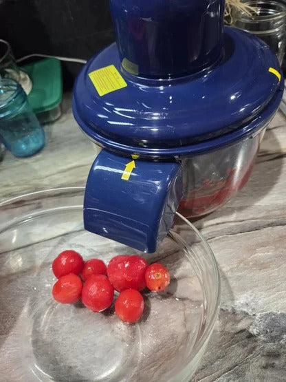 Automatic Fruit Vegetable Peeler